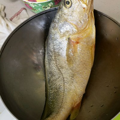 红烧黄鱼好吃的家常做法和步骤(我一年四季都想吃) 红烧黄鱼好吃的家常做法和步骤(我一年四季都想吃)