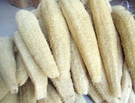 清理鱼缸内壁用什么工具(擦鱼缸专用工具) 清理鱼缸内壁用什么工具(擦鱼缸专用工具)