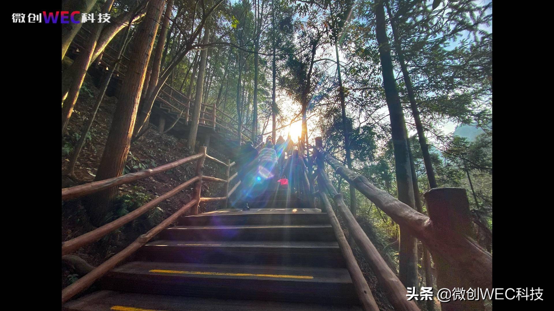 苹果xr 11对比评测（苹果x和苹果11参数对比）