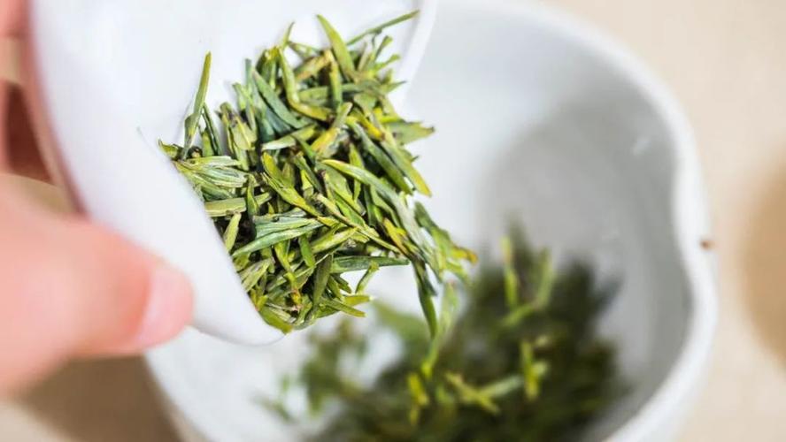 绿茶常见的香气类型有哪些？哪种绿茶香气较好？