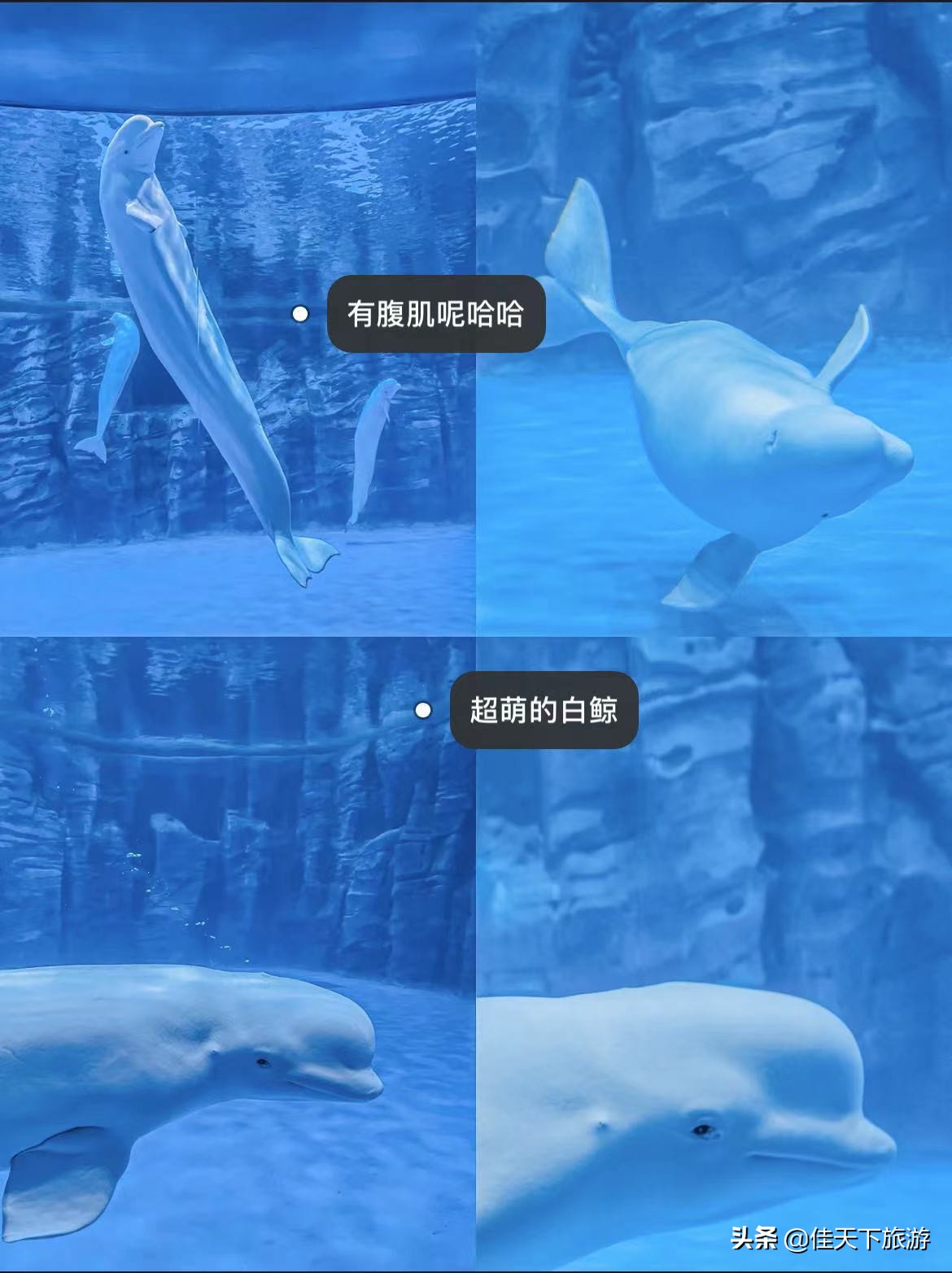 春节海南最适合亲子度假游玩有哪些景点?去海南亲子游旅游攻略一次 春节海南最适合亲子度假游玩有哪些景点?去海南亲子游旅游攻略一次