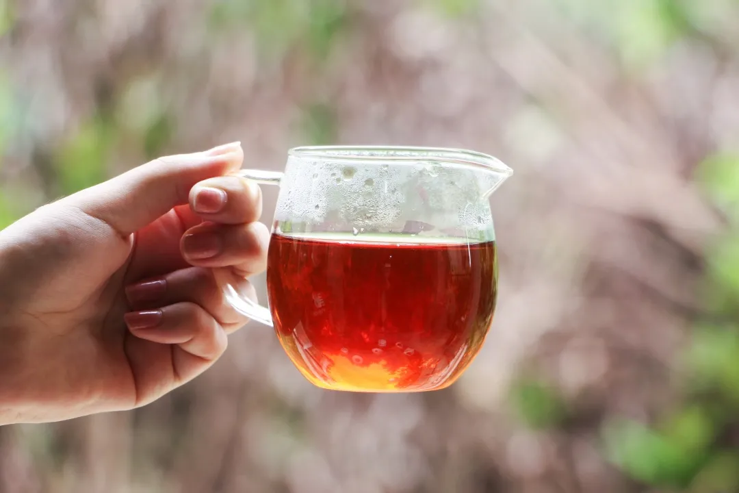红茶的四大基本知识有哪些？关于红茶的基本知识资料