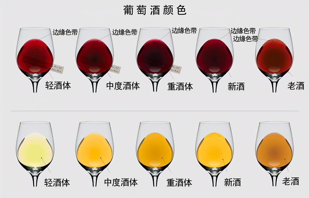 关于红酒的知识与了解有哪些(喝红酒必须了解的6个常识) 关于红酒的知识与了解有哪些(喝红酒必须了解的6个常识)