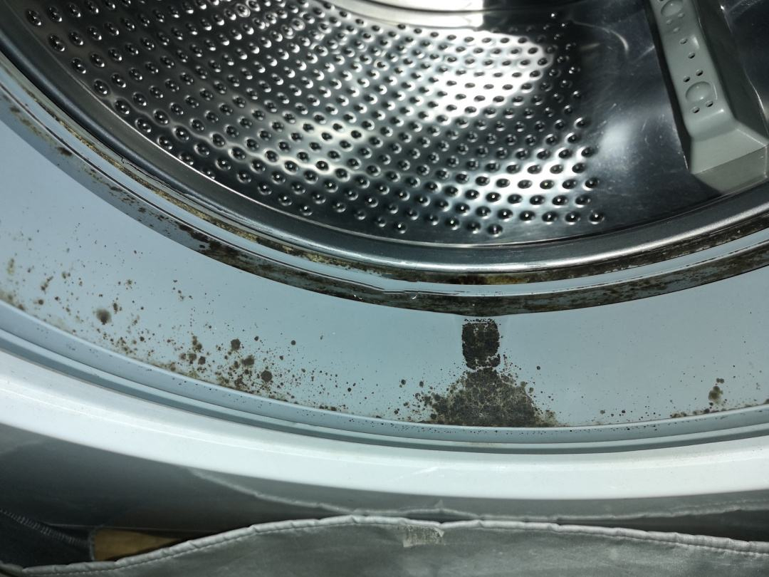家用洗衣机怎么清洗干净(家用洗衣机搭配这几个使用干净卫生) 家用洗衣机怎么清洗干净(家用洗衣机搭配这几个使用干净卫生)