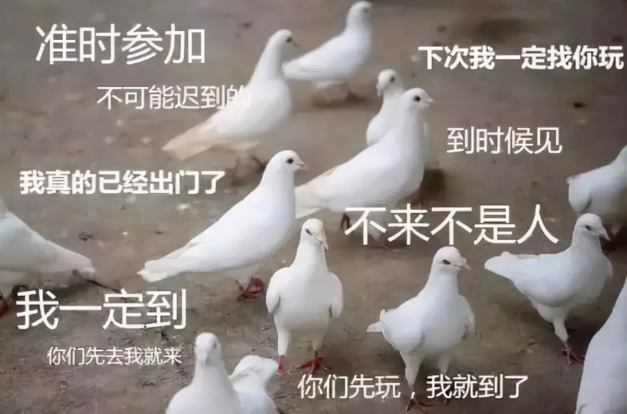 现在做手机行业怎么样(做手机行业已经非常难了) 现在做手机行业怎么样(做手机行业已经非常难了)