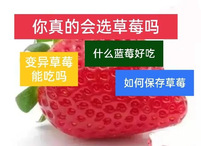 怎样挑选草莓窍门(草莓的选购方法) 怎样挑选草莓窍门(草莓的选购方法)