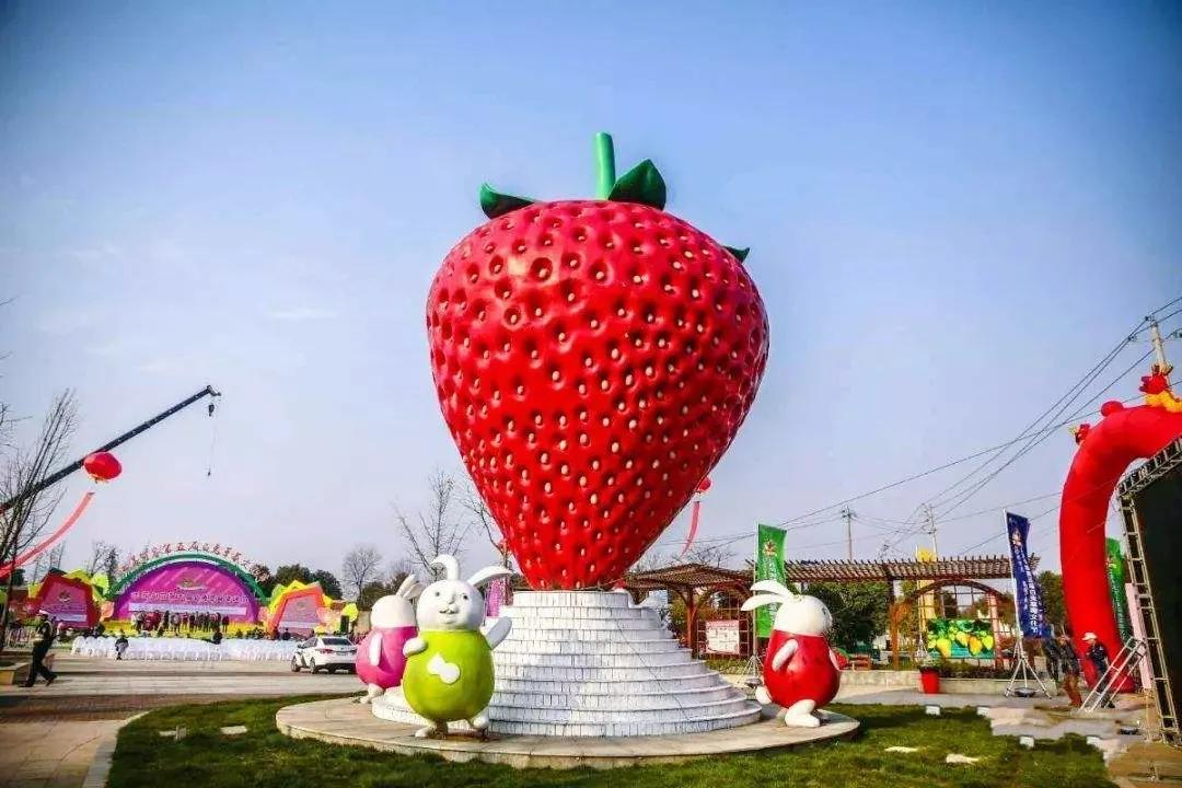 买草莓哪个地方好吃(草莓好吃的地方) 买草莓哪个地方好吃(草莓好吃的地方)
