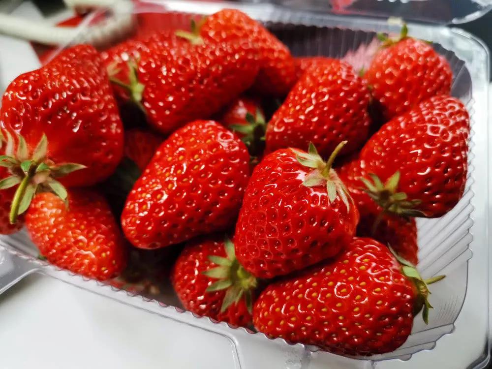 买草莓哪个地方好吃(草莓好吃的地方) 买草莓哪个地方好吃(草莓好吃的地方)