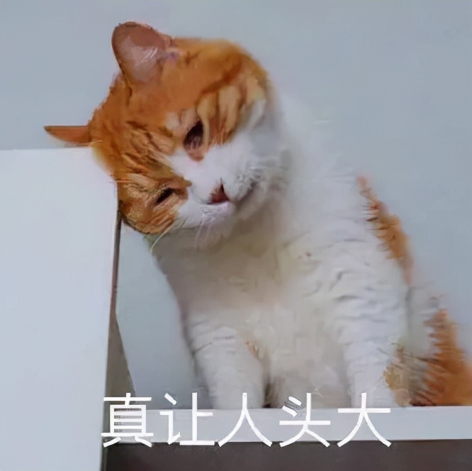 选室内门要注意些什么(室内门选购注意事项详细介绍) 选室内门要注意些什么(室内门选购注意事项详细介绍)
