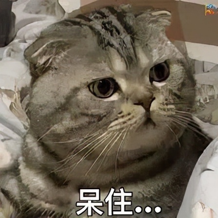 你知道黑莓手机吗(黑莓手机现在具体什么情况) 你知道黑莓手机吗(黑莓手机现在具体什么情况)