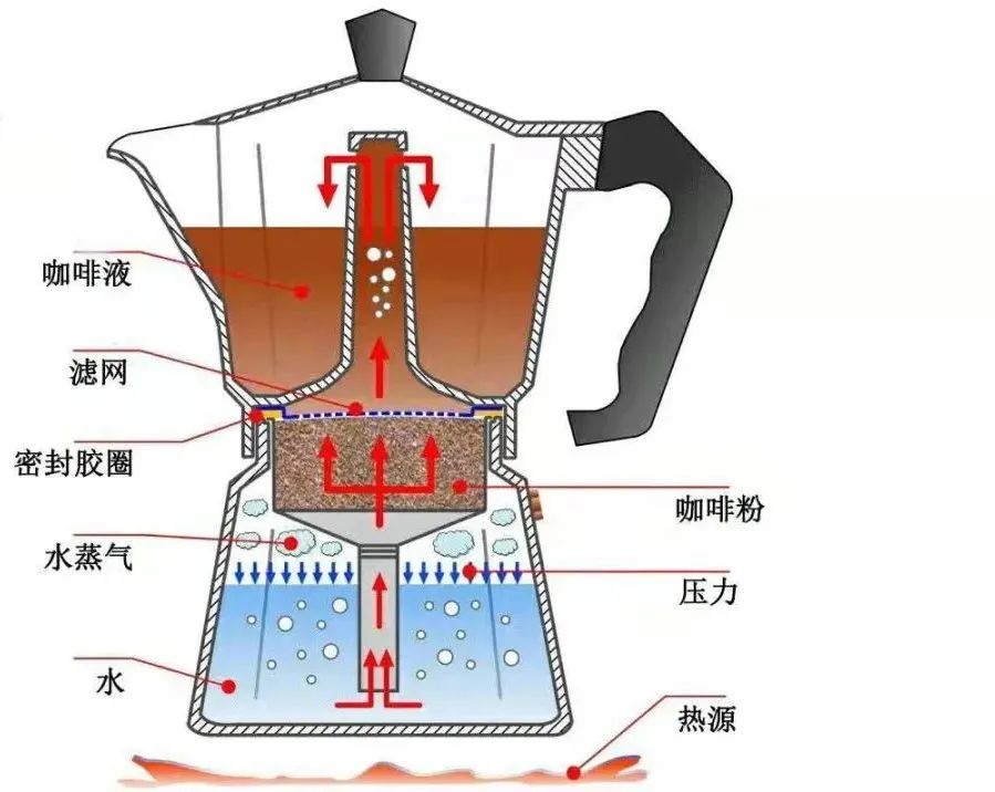 有趣的咖啡小知识大全分享（来科普一下不可不知的的日常基本咖啡小知识）