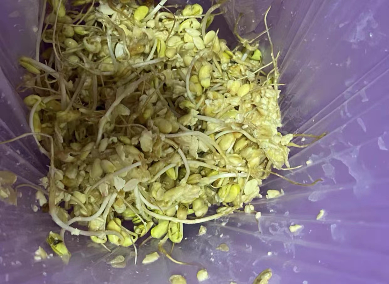 不实用的网红小家电有哪些(没必要买别花冤枉钱了) 不实用的网红小家电有哪些(没必要买别花冤枉钱了)