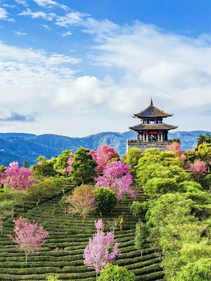 国内有哪些地方值得去旅行（想去就值得没有唯一的标准）