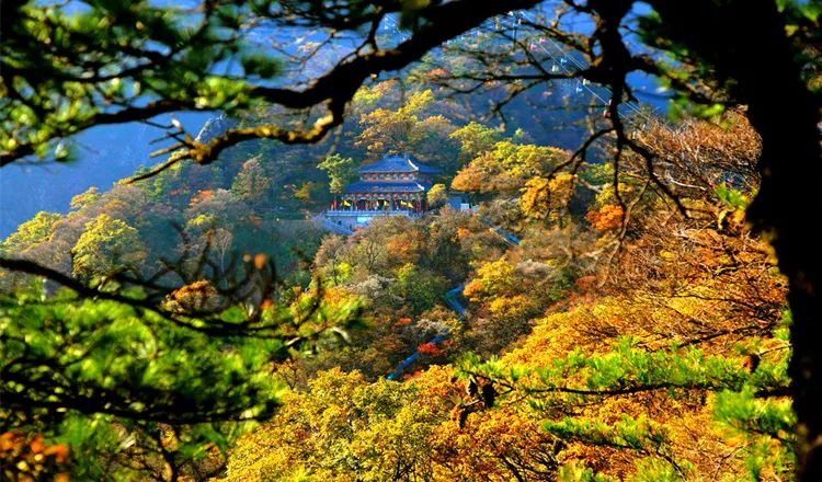 国内有哪些地方值得去旅行（想去就值得没有唯一的标准）