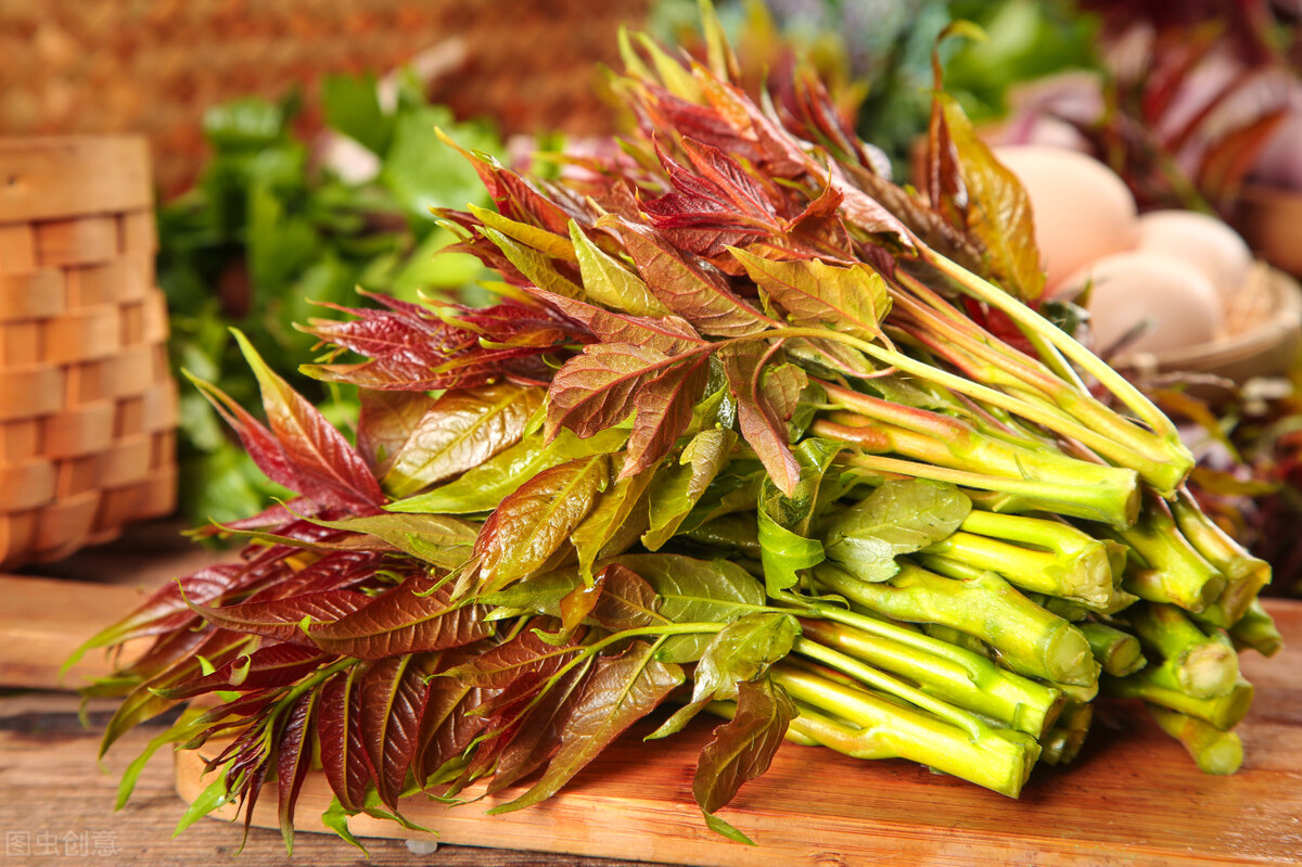 春天最该吃的野菜是它(一到春天连医生都抢着吃) 春天最该吃的野菜是它(一到春天连医生都抢着吃)