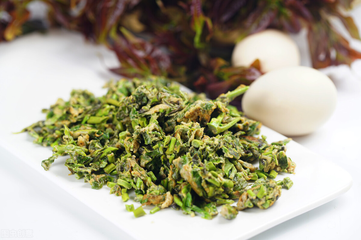 春天最该吃的野菜是它(一到春天连医生都抢着吃) 春天最该吃的野菜是它(一到春天连医生都抢着吃)