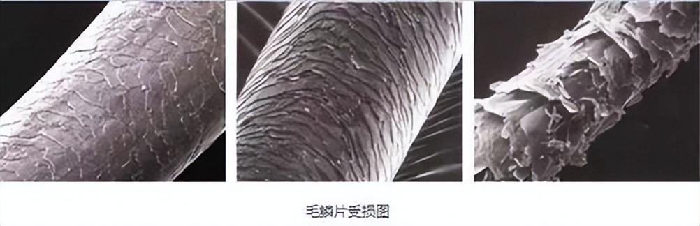 吹风机怎么挑选怎么购买比较好(吹风机选购技巧和需要注意的地方) 吹风机怎么挑选怎么购买比较好(吹风机选购技巧和需要注意的地方)
