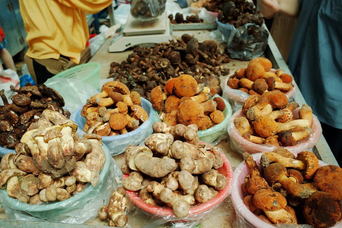 哪个地方调味料较好吃又美味(云南的调味料让你回味无穷) 哪个地方调味料较好吃又美味(云南的调味料让你回味无穷)