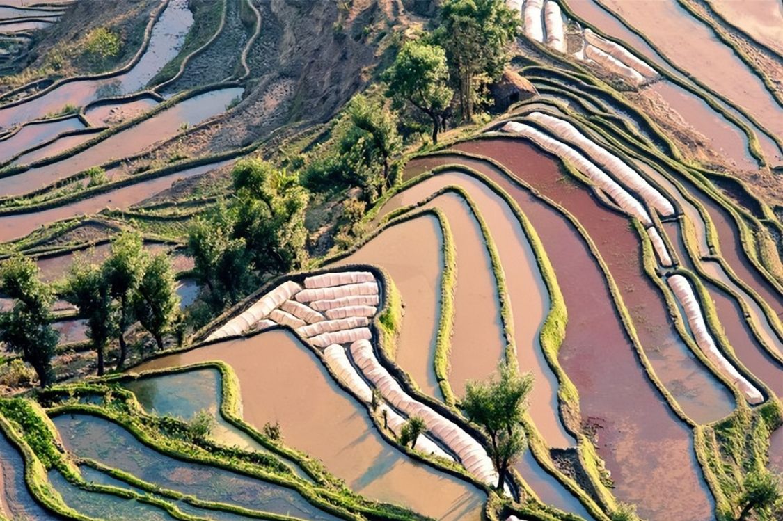 哪个地方调味料较好吃又美味（云南的调味料让你回味无穷）