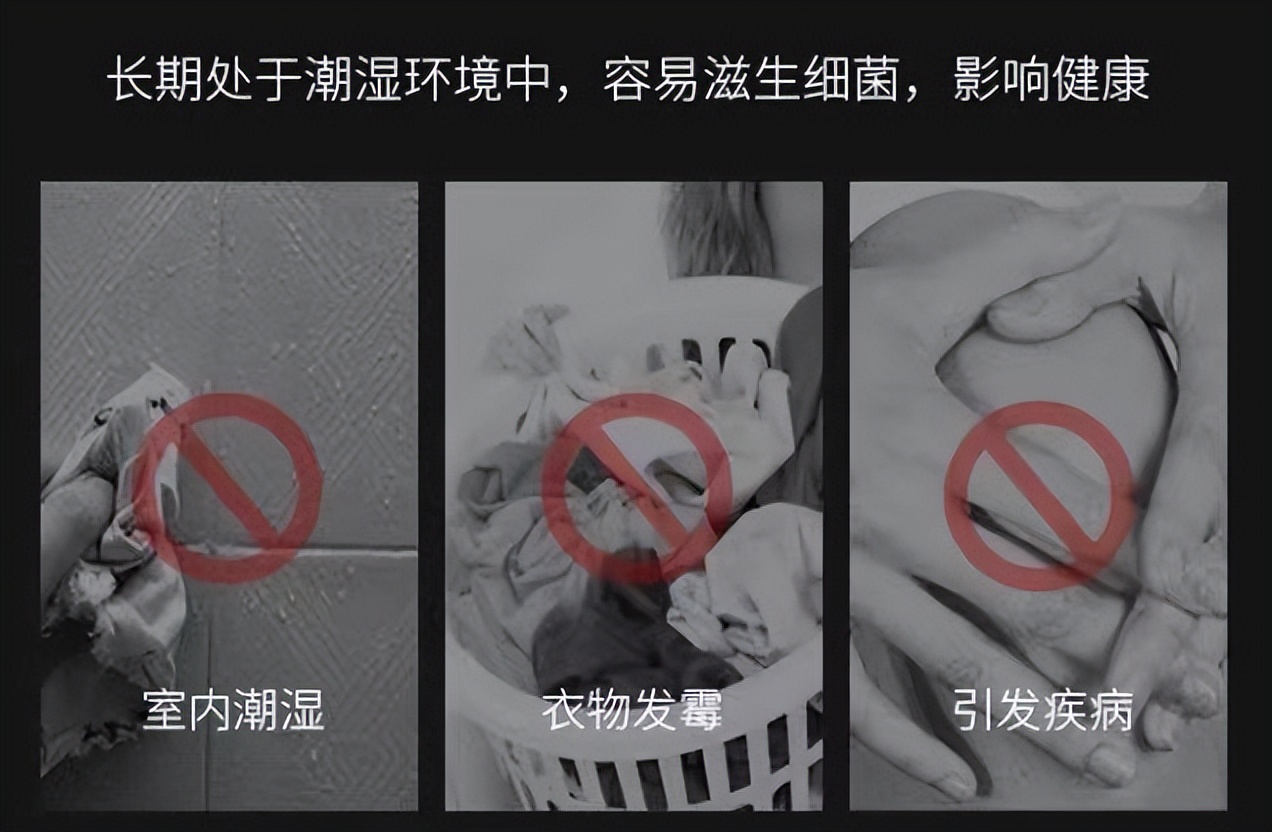 家里面哪些家居需要买(几件实用的家居物品是必买的) 家里面哪些家居需要买(几件实用的家居物品是必买的)