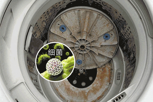 洗衣机长时间不洗有多脏(教你这样清洗洗衣机洗衣更干净) 洗衣机长时间不洗有多脏(教你这样清洗洗衣机洗衣更干净)