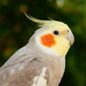 家庭装修灯具应该怎么选择较好(灯具照这6点方法选就肯定没错) 家庭装修灯具应该怎么选择较好(灯具照这6点方法选就肯定没错)