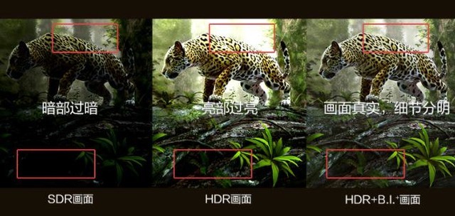 4k高刷新率显示器推荐(4K高分辨率显示器购买推荐) 4k高刷新率显示器推荐(4K高分辨率显示器购买推荐)