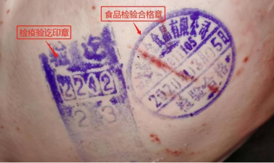 国内较好吃的猪肉是在什么地方(这4个地方比较猪肉最出名) 国内较好吃的猪肉是在什么地方(这4个地方比较猪肉最出名)