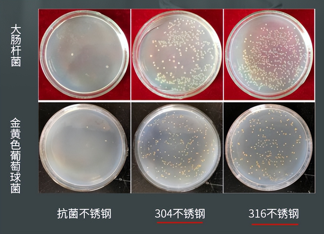 建议大家厨房添置这几样好物（厨房必备好物）