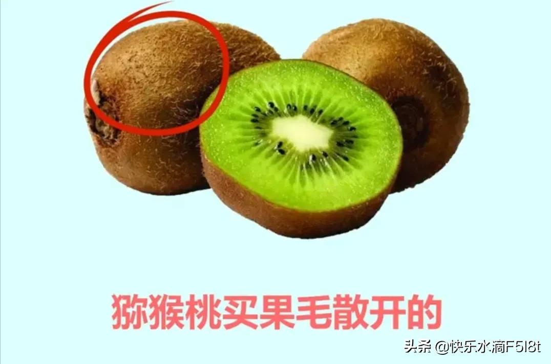 怎么样挑选新鲜又好吃的水果(这样挑出的水果较好吃) 怎么样挑选新鲜又好吃的水果(这样挑出的水果较好吃)