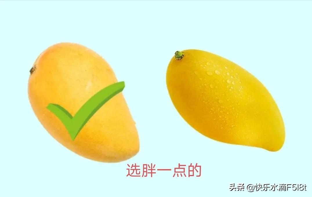 怎么样挑选新鲜又好吃的水果(这样挑出的水果较好吃) 怎么样挑选新鲜又好吃的水果(这样挑出的水果较好吃)