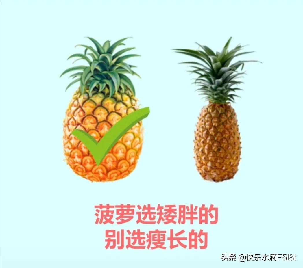 怎么样挑选新鲜又好吃的水果(这样挑出的水果较好吃) 怎么样挑选新鲜又好吃的水果(这样挑出的水果较好吃)