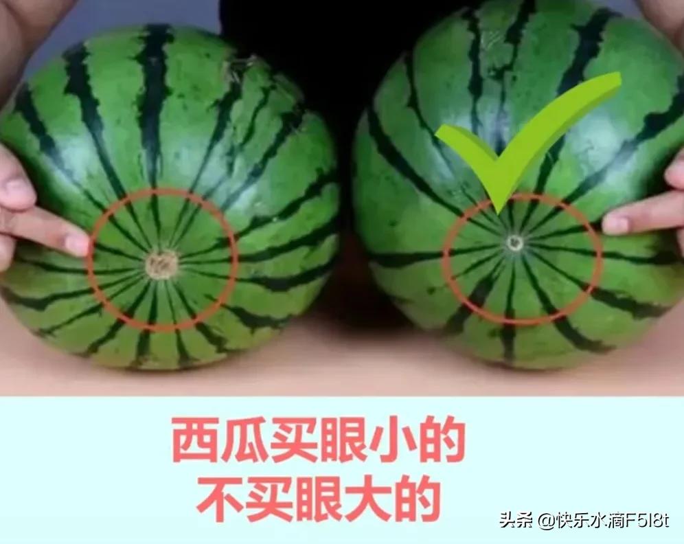 怎么样挑选新鲜又好吃的水果(这样挑出的水果较好吃) 怎么样挑选新鲜又好吃的水果(这样挑出的水果较好吃)