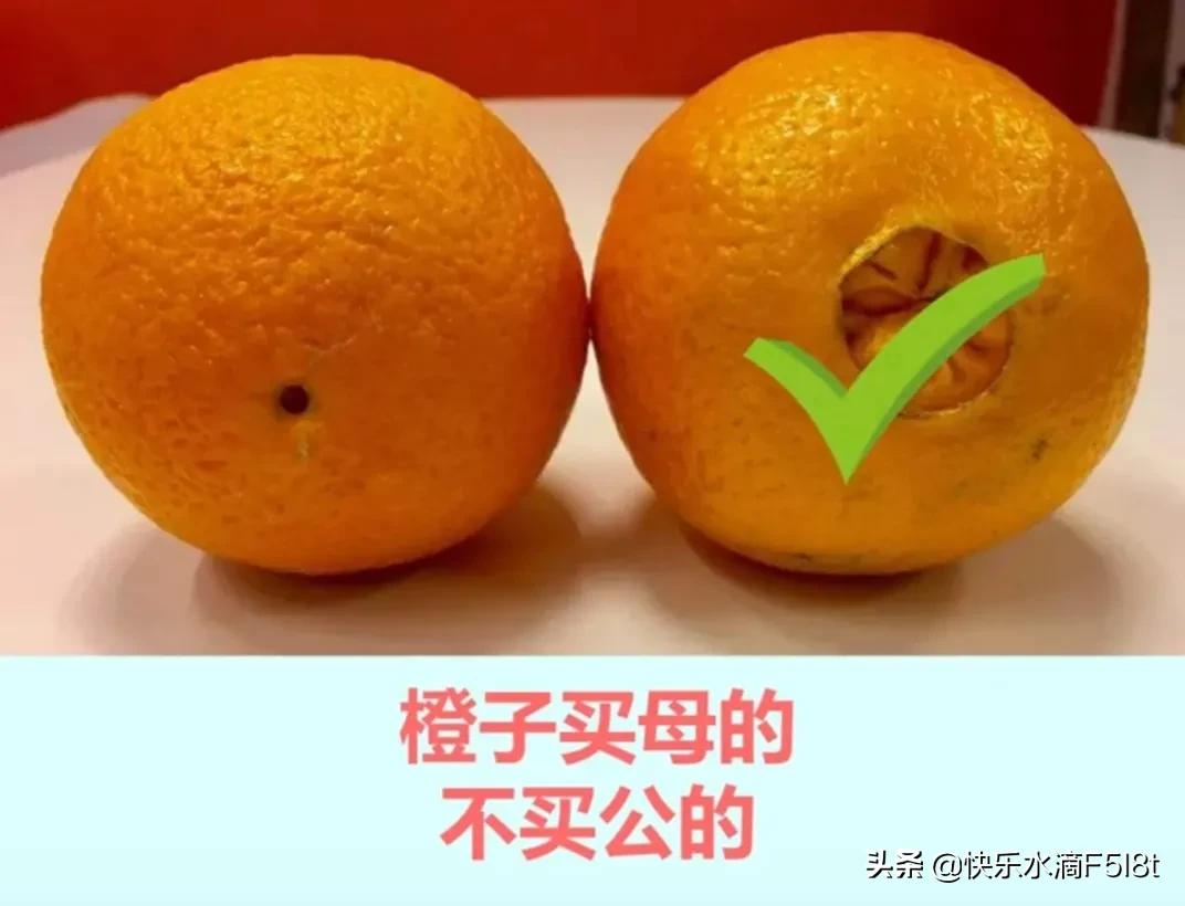 怎么样挑选新鲜又好吃的水果(这样挑出的水果较好吃) 怎么样挑选新鲜又好吃的水果(这样挑出的水果较好吃)