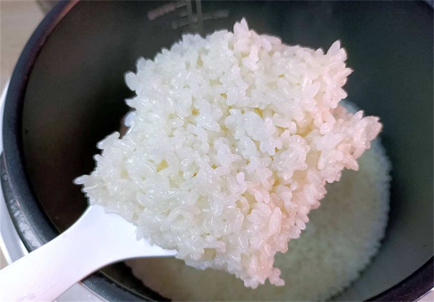 煮饭电压锅好还是电饭锅好?电压锅煮饭和电饭煲的区别