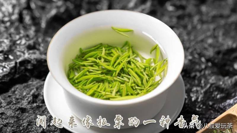 绿茶味香水哪种好？推荐几款超级好闻的绿茶味香水？