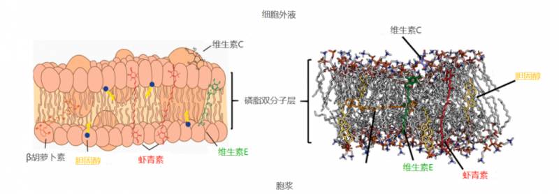 爱尔发虾青素面膜怎么样？爱尔发虾青素面膜功效作用