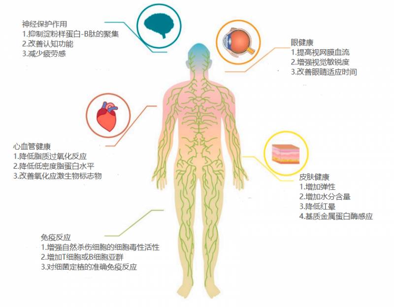 爱尔发虾青素面膜怎么样？爱尔发虾青素面膜功效作用