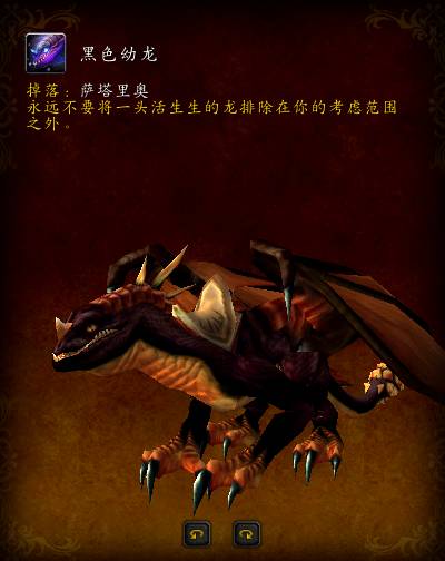 魔兽世界副本掉落坐骑大全（魔兽世界中必掉坐骑的副本）