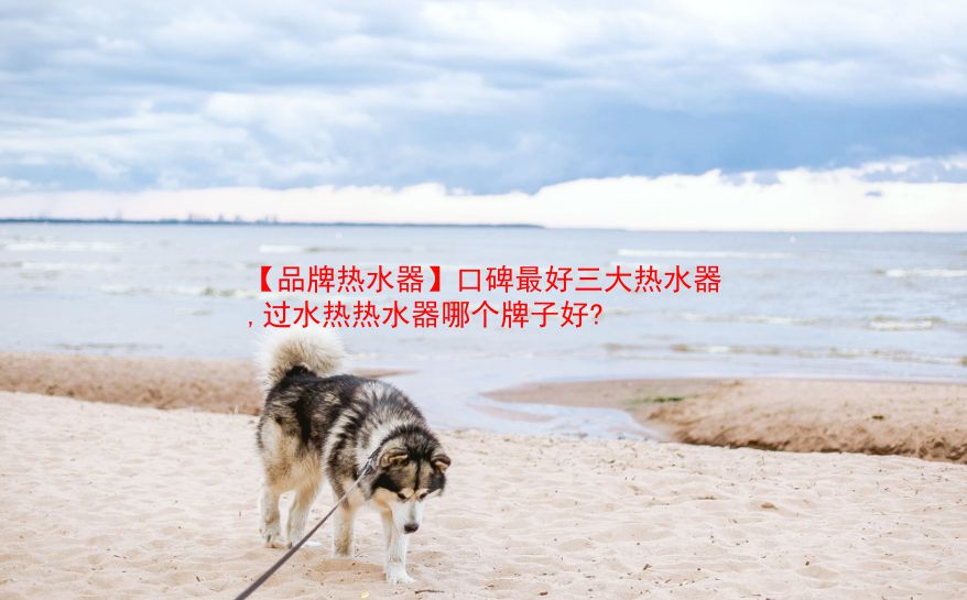 【品牌热水器】口碑最好三大热水器,过水热热水器哪个牌子好? 第1张 【品牌热水器】口碑最好三大热水器,过水热热水器哪个牌子好? 第1张