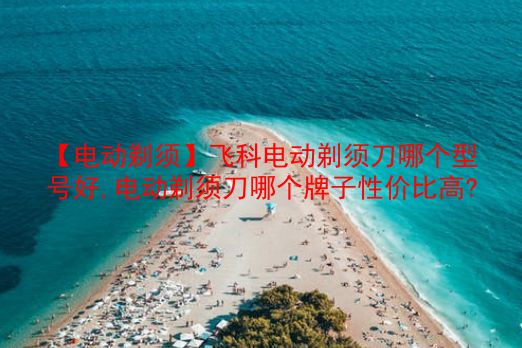 【电动剃须】飞科电动剃须刀哪个型号好,电动剃须刀哪个牌子性价比高?  第1张