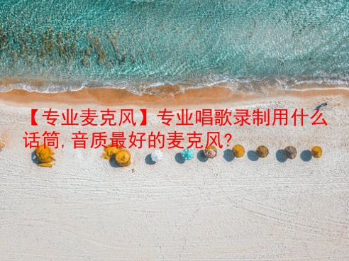 【专业麦克风】专业唱歌录制用什么话筒,音质最好的麦克风? 第1张 【专业麦克风】专业唱歌录制用什么话筒,音质最好的麦克风? 第1张