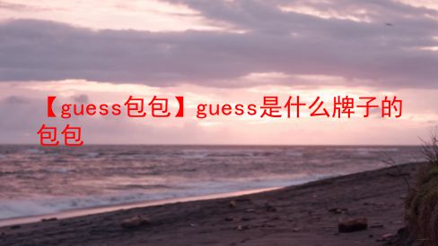 【guess包包】guess是什么牌子的包包  第1张