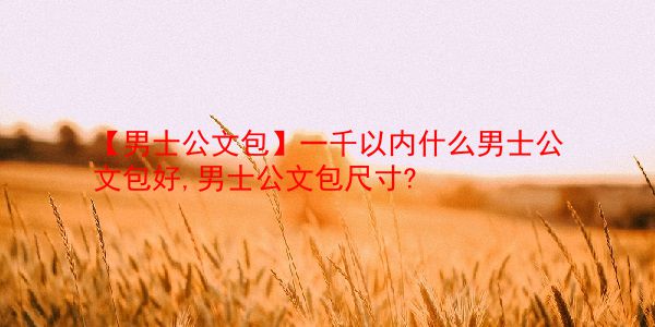 【男士公文包】一千以内什么男士公文包好,男士公文包尺寸? 第1张 【男士公文包】一千以内什么男士公文包好,男士公文包尺寸? 第1张