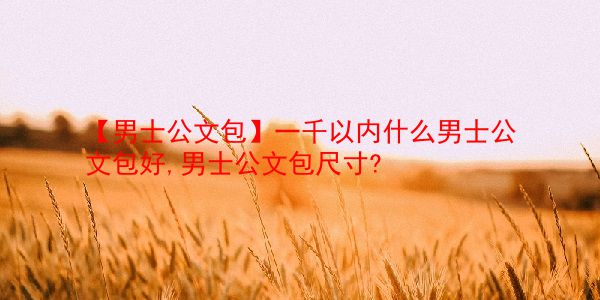 【男士公文包】一千以内什么男士公文包好,男士公文包尺寸?  第1张