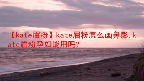 【kate眉粉】kate眉粉怎么画鼻影,kate眉粉孕妇能用吗?  第1张