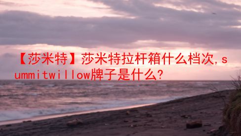 【莎米特】莎米特拉杆箱什么档次,summitwillow牌子是什么?  第1张