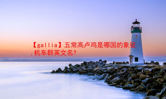 【gallia】五常高卢鸡是哪国的象征,机车群英文名?  第1张