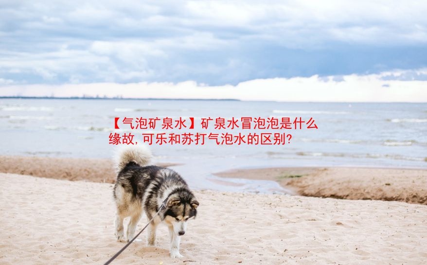 【气泡矿泉水】矿泉水冒泡泡是什么缘故,可乐和苏打气泡水的区别? 第1张 【气泡矿泉水】矿泉水冒泡泡是什么缘故,可乐和苏打气泡水的区别? 第1张