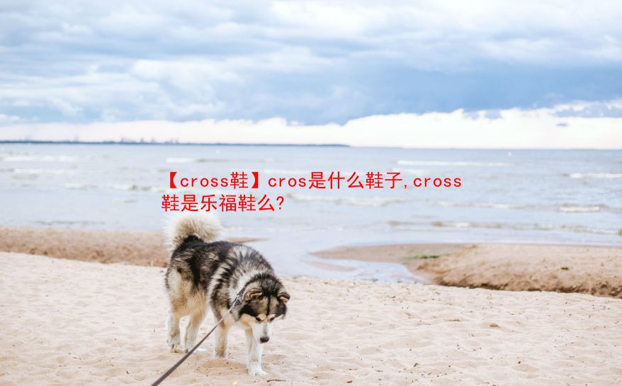 【cross鞋】cros是什么鞋子,cross鞋是乐福鞋么?  第1张